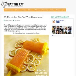 23 Popsicles To Get You Hammered - Eat the Cat - StumbleUpon