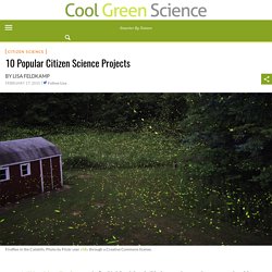 10 Popular Citizen Science Projects – Cool Green Science