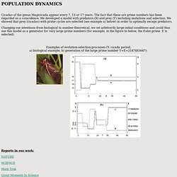 Population dynamics