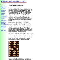 Population and Evolutionary Genetics