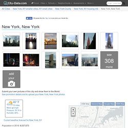 New York, New York (NY) profile: population, maps, real estate, averages, homes, statistics, relocation, travel, jobs, hospitals, schools, crime, moving, houses, news, sex offenders