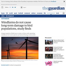 Windfarms do not cause long-term damage to bird populations, study finds