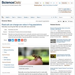 Road salt can change sex ratios in frog populations: Naturally occurring leaf litter can also alter sex outcomes