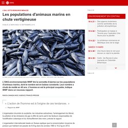 Les populations d'animaux marins en chute vertigineuse