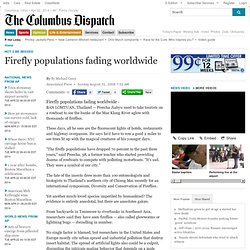 Firefly populations fading worldwide