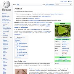Populus Genus