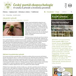Český portál ekopsychologie - Všechny články » Jak přežít v přírodě