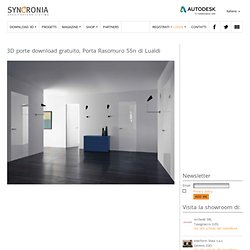 Modelli 3D porte download gratuito revit, Porta Rasomuro 55n