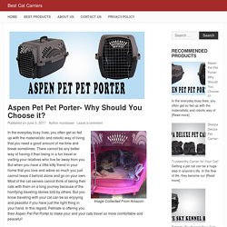 Aspen Pet Pet Porter- Why Should You Choose it? - Best Cat Carriers