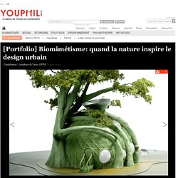 [Portfolio] Biomimétisme: quand la nature inspire le design urbain