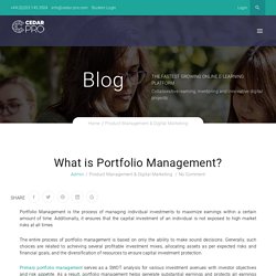 What is Portfolio Management? - Cedar Pro