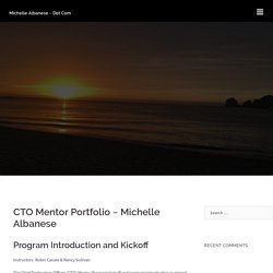 CTO Mentor Portfolio ~ Michelle Albanese
