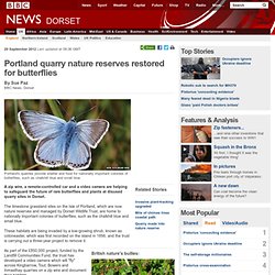 Portland quarry nature reserves restored for butterflies
