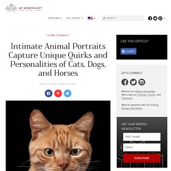 Intimate Animal Portraits Capture Unique Quirks and Personalities of Cats, Dogs, and Horses