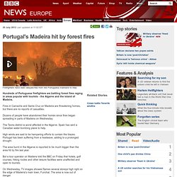 Portugal's Madeira hit by forest fires
