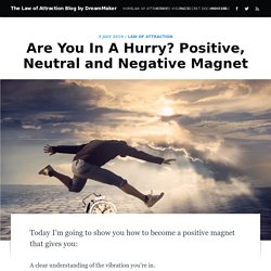 Are You In A Hurry? Positive, Neutral and Negative Magnet