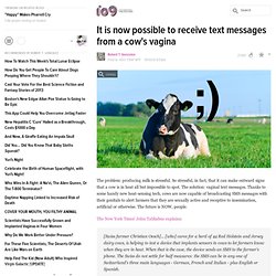 It is now possible to receive text messages from a cow's vagina