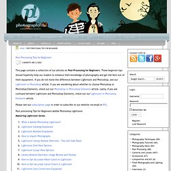 Post-Processing Tips for Beginners