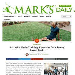 Posterior Chain Training: Exercises for a Strong Lower Back