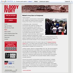 Bloody Ivory : Stop Elephant Poaching and Ivory Trade