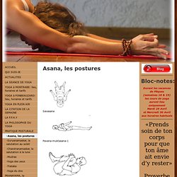 -Asana, les postures - Véronique Cancel Yoga