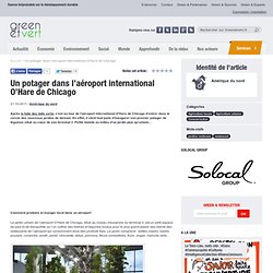 USA : Un potager dans l’aéroport international O’Hare de Chicago