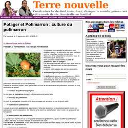 Potager et Potimarron : culture du potimarron