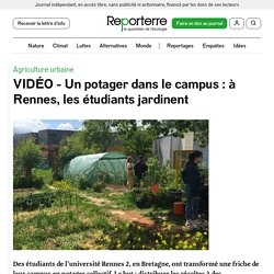 VIDÉO - Un potager dans le campus : à Rennes, les étudiants jardinent