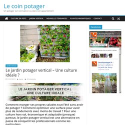 Le jardin potager vertical – Une culture idéale ?