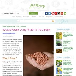 Potash And Plants – Learn About Potash In Soil And Potash Fertilizer