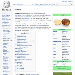 Potatis Wikipedia