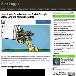 Learn How to Grow Potatoes in a Bucket Through Catchy Song and Animation (Video)