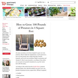 Grow 100 Pounds of Potatoes in 4 Sq Feet