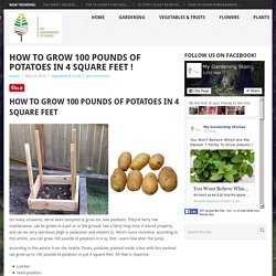 How to Grow 100 Pounds of Potatoes in 4 Square Feet ! - My Gardening Stories