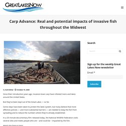 GREATLAKESNOW - OCT 2020 - Carp Advance: Real and potential impacts of invasive fish throughout the Midwest