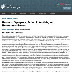 Neurons, Synapses, Action Potentials, and Neurotransmission - The Mind Project