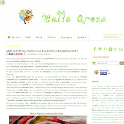 Bulle Green: Mafé de Potiron et Carotte aux Pois Chiches { BatailleFood #17 }
