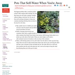 Pots That Self-Water When You're Away