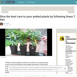 Give the best care to your potted plants by following these 7 tips