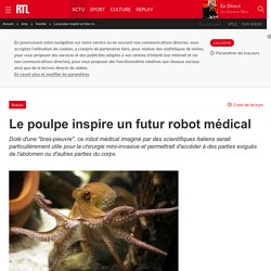 Le poulpe inspire un futur robot médical