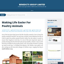 Making Life Easier For Poultry Animals
