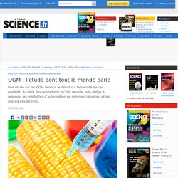 OGM : l'étude dont tout le monde parle