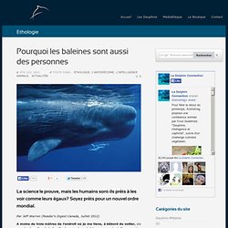 Pourquoi les baleines sont aussi des personnes