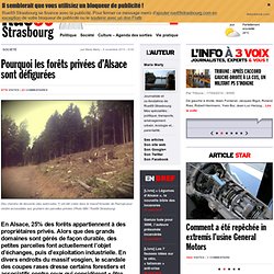 Pourquoi les forêts privées d'Alsace sont défigurées