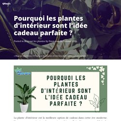 Pourquoi les plantes d'intérieur sont l'idée cadeau parfaite ? - Qfleurs