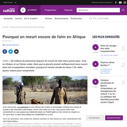 Pourquoi on meurt encore de faim en Afrique