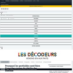 Pourquoi les pesticides sont bien l’une des causes du déclin des oiseaux