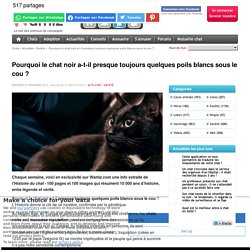 Pourquoi le chat noir a-t-il presque toujours quelques poils blancs sous le cou ?