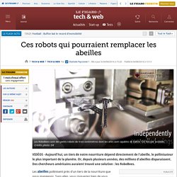 Ces robots qui pourraient remplacer les abeilles