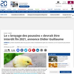Le « broyage des poussins » devrait être interdit fin 2021, annonce Didier Guillaume